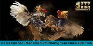 Đá gà cựa sắt